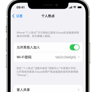 炉霍apple服务站点分享iPhone上个人热点丢失了怎么办 