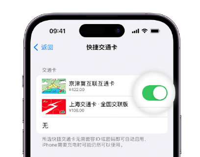 炉霍apple维修点分享iPhone上更换Apple Pay快捷交通卡手绘卡面 