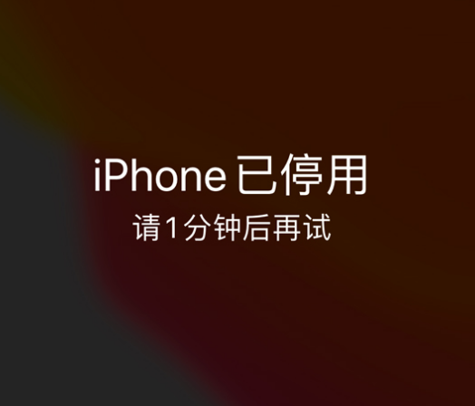 炉霍苹果手机维修分享:iPhone 显示“不可用”或“已停用”怎么办？还能保留数据吗？ 