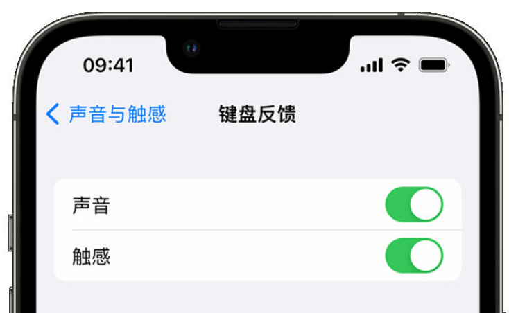 炉霍苹果手机维修分享iPhone 14触感键盘使用方法 