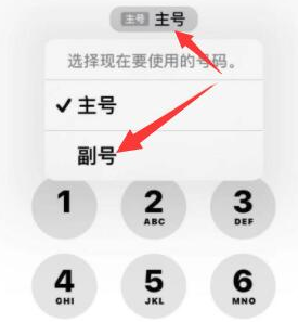 炉霍苹果14维修店分享iPhone 14 Pro Max使用副卡打电话的方法 