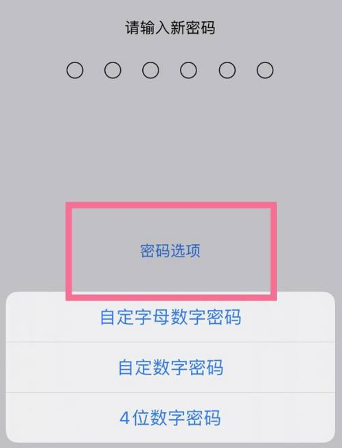 炉霍苹果14维修分享iPhone 14plus设置密码的方法 