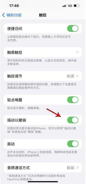 炉霍苹果手机维修分享iPhone手机如何设置摇一摇删除文字 