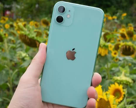 炉霍苹果维修点分享iPhone 11锁屏密码认知与使用科普 